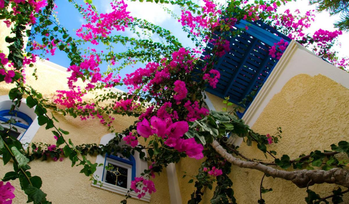 Hotel Zeus Камари Экстерьер фото